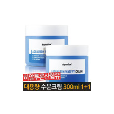 대용량 수분크림 여성 기초화장품 세트 300mlX2개 